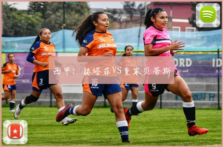 西甲：赫塔菲VS皇家贝蒂斯